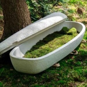 Loop Living Cocoon