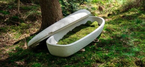 Loop Living Cocoon
